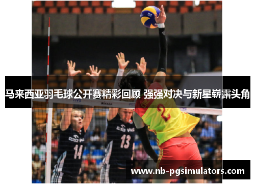 马来西亚羽毛球公开赛精彩回顾 强强对决与新星崭露头角